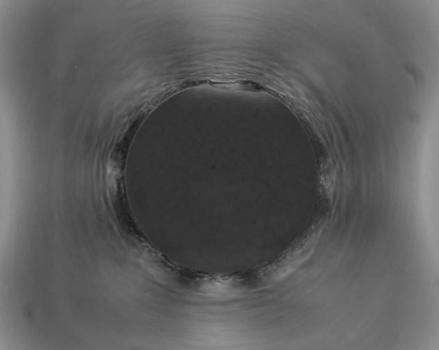 X0000113370235200909291058