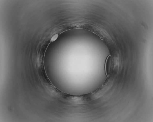 X0000113370236200909291058