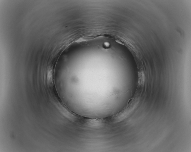 X0000113370238200909291058