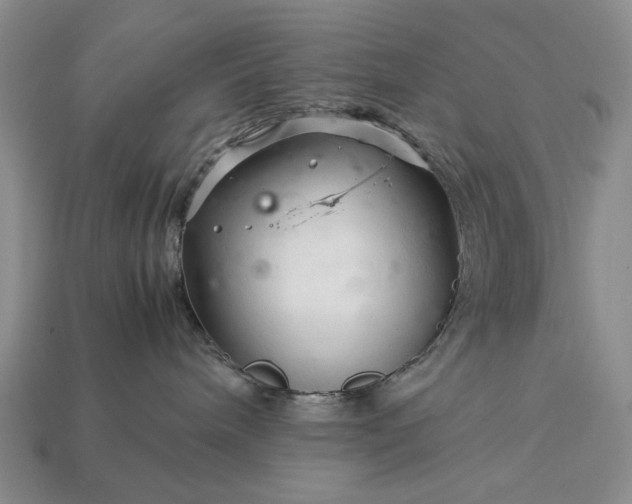 X0000113370240200909291057