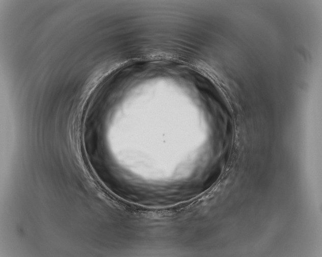 X0000113370241200909291057