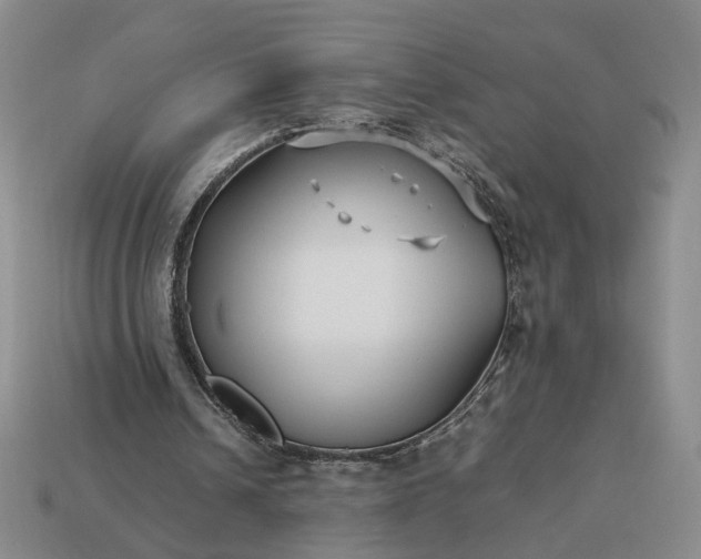 X0000113370242200909291057