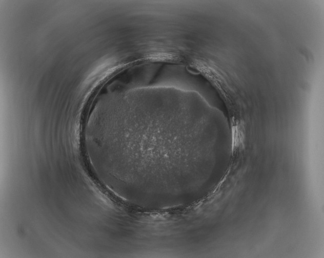 X0000113370243200909291057