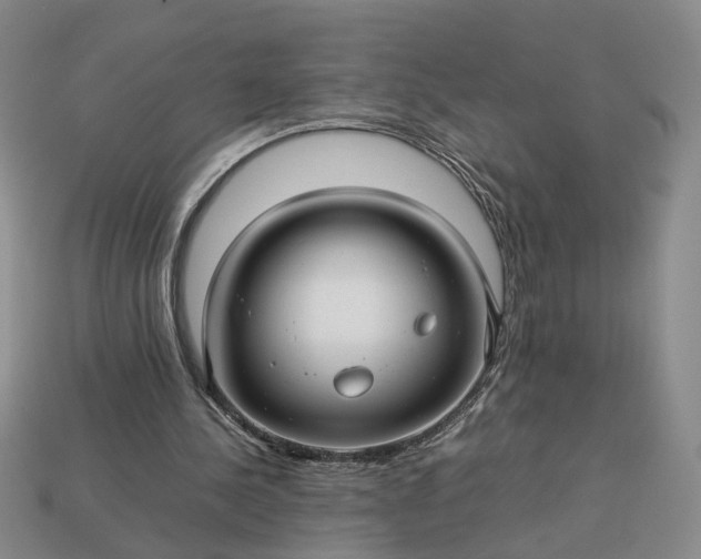 X0000113370244200909291057