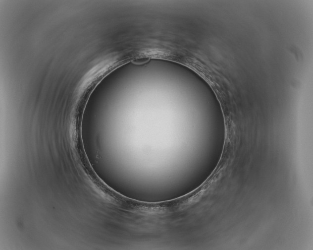 X0000113370245200909291057