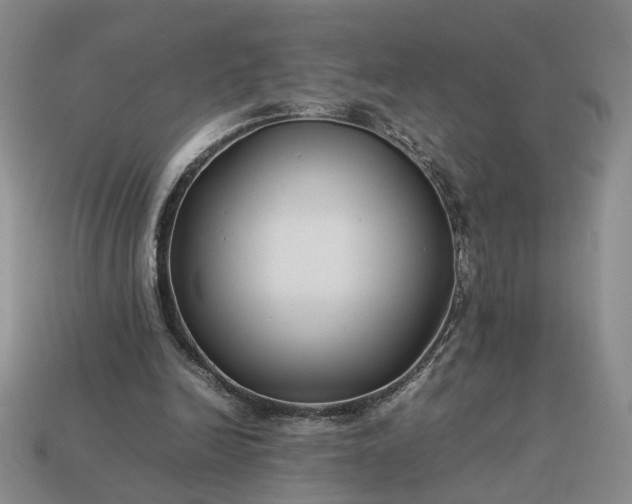 X0000113370246200909291057