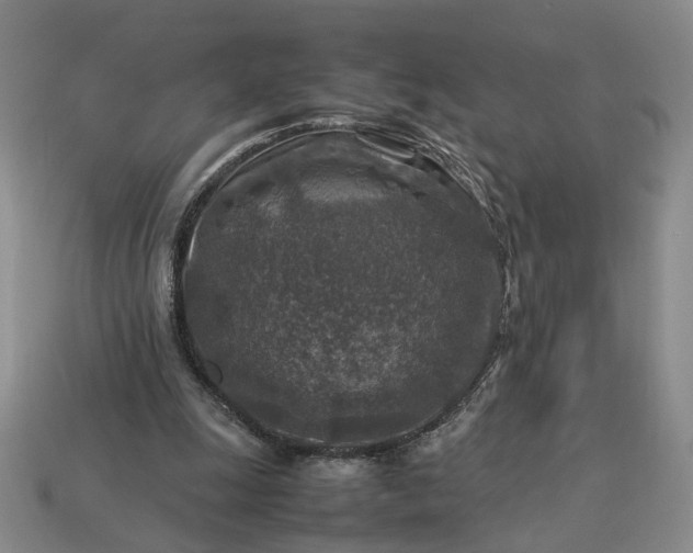 X0000113370247200909291057