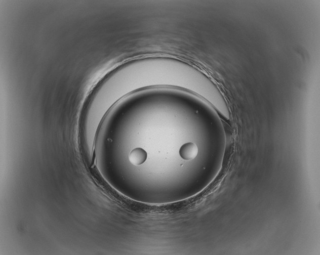 X0000113370248200909291057