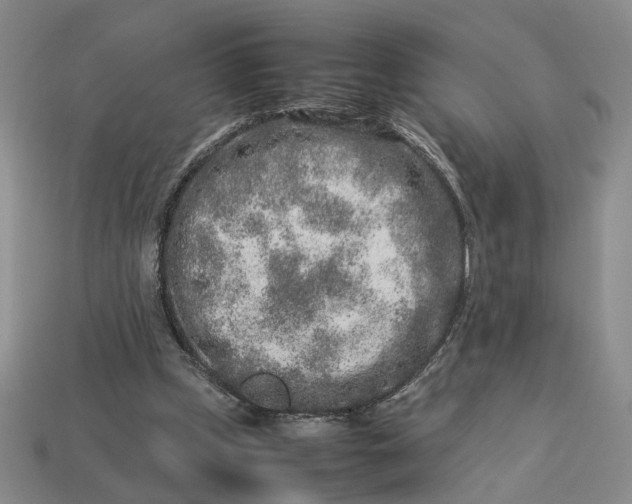 X0000113370249200909291057