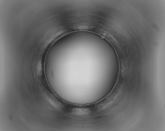 X0000113370251200909291057