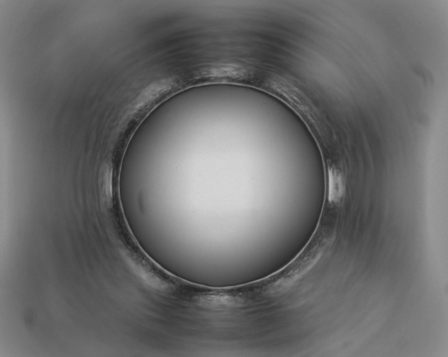 X0000113370253200909291057