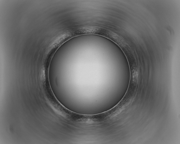 X0000113370254200909291057