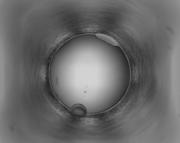 X0000113370255200909291057