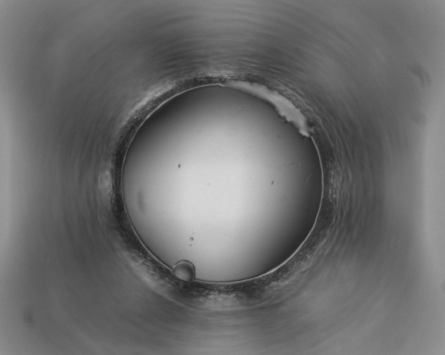 X0000113370256200909291057