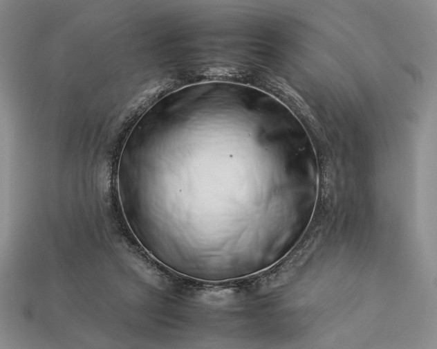 X0000113370257200909291057