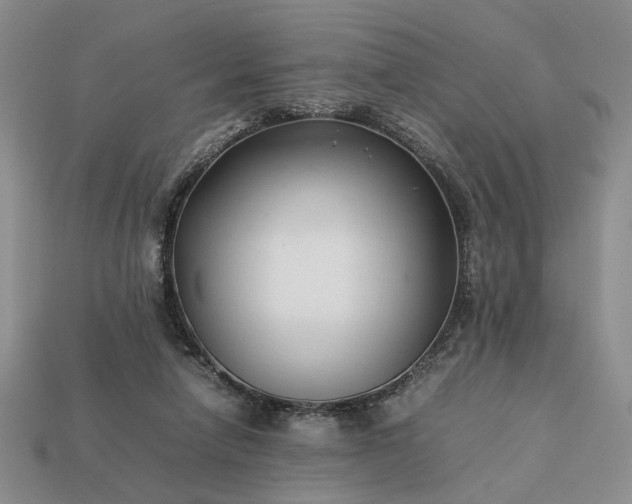 X0000113370258200909291057