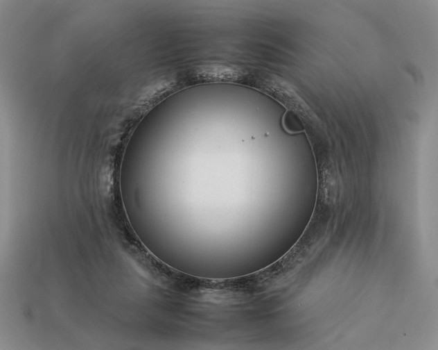 X0000113370259200909291057