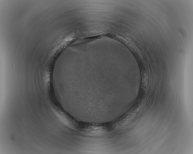 X0000113370260200909291057