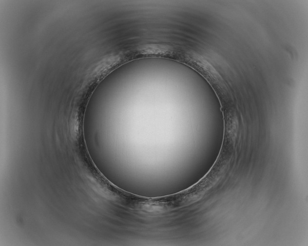 X0000113370261200909291057