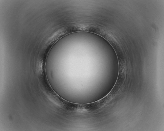 X0000113370262200909291057