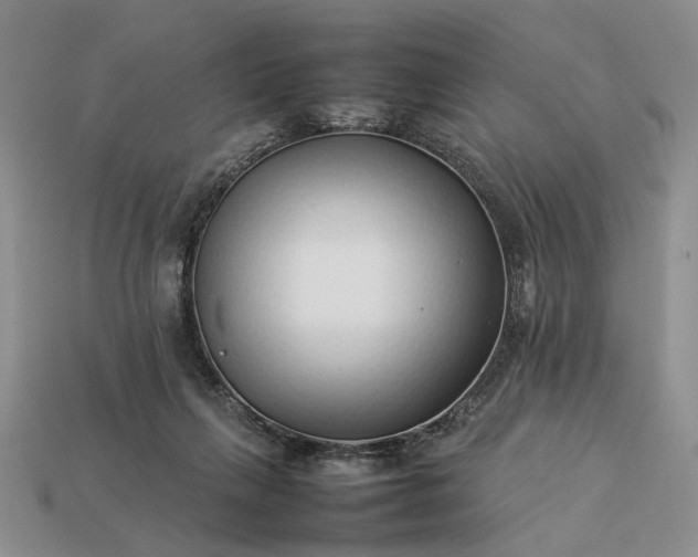 X0000113370263200909291057