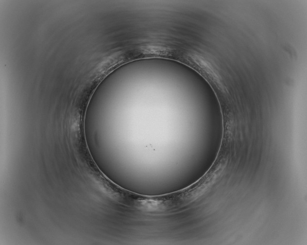 X0000113370265200909291057