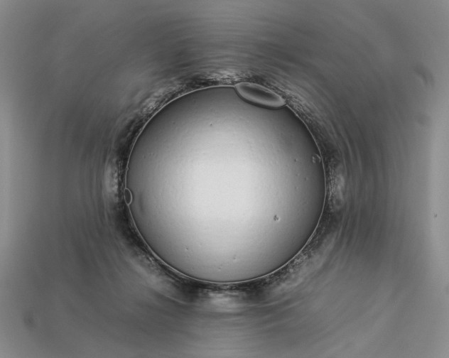 X0000113370268200909291057