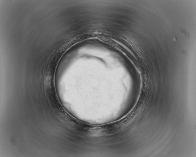 X0000113370269200909291057