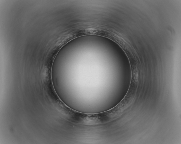 X0000113370270200909291057