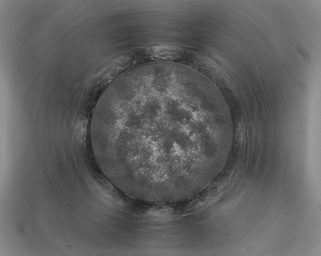 X0000113370271200909291057