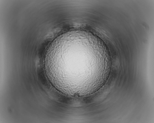 X0000113370272200909291057