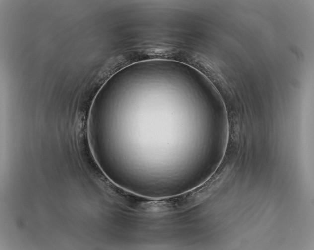 X0000113370273200909291057