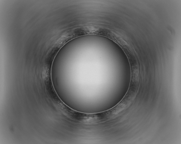 X0000113370274200909291057