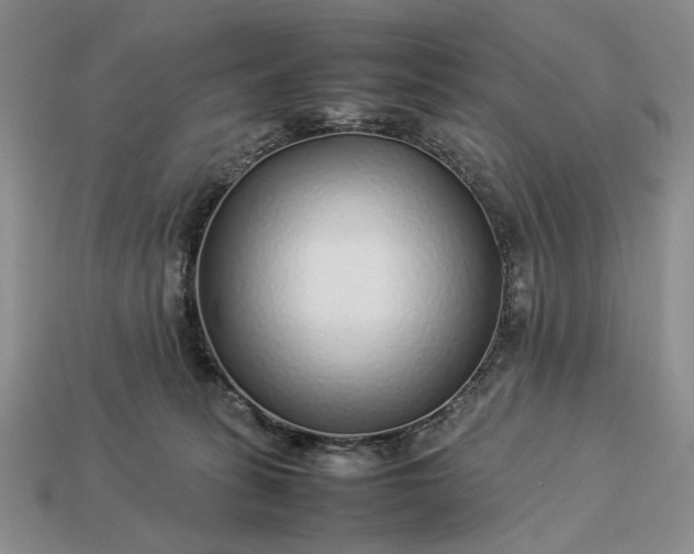 X0000113370275200909291057