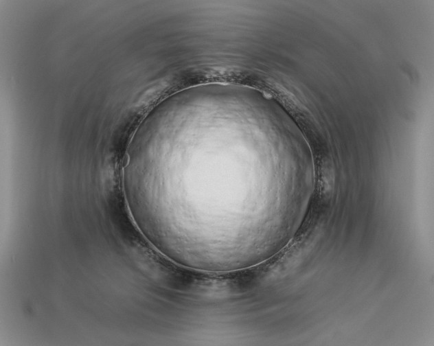 X0000113370276200909291057