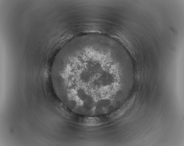 X0000113370277200909291057