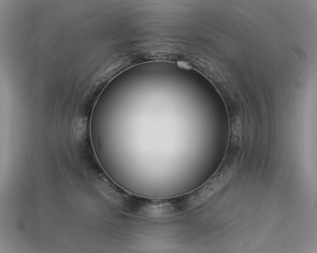 X0000113370278200909291057