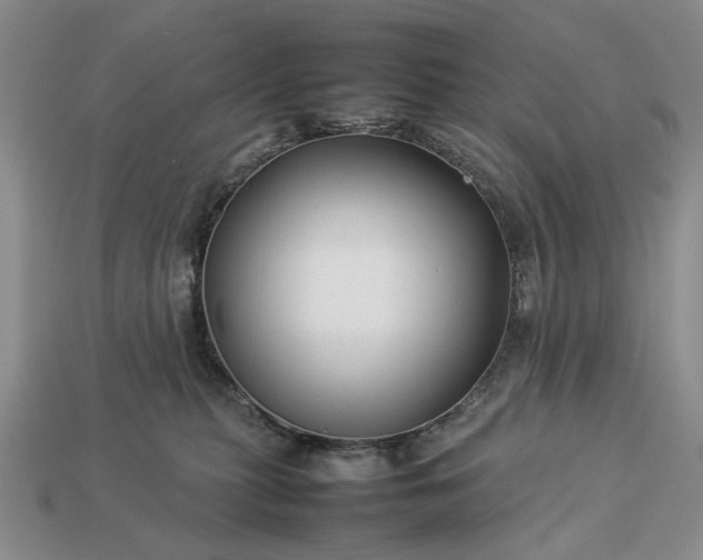 X0000113370279200909291057