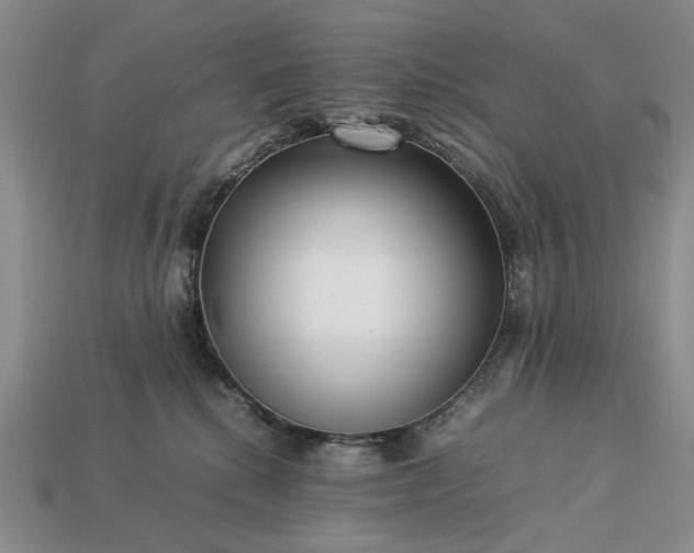 X0000113370280200909291057