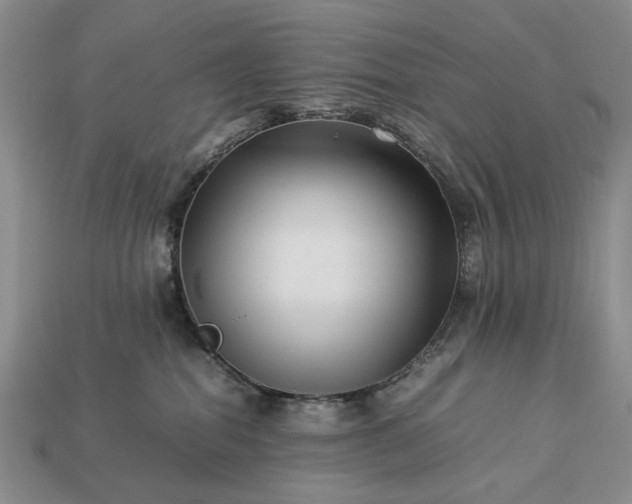 X0000113370282200909291057