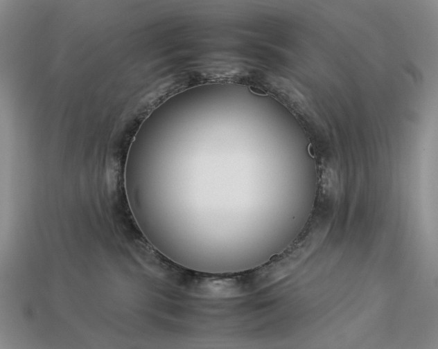 X0000113370283200909291057