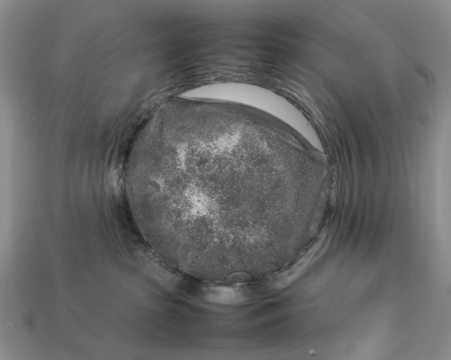 X0000113370285200909291057