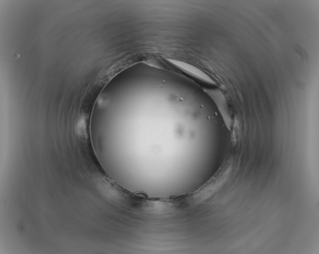 X0000113370286200909291057