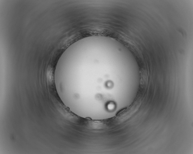 X0000113370287200909291057