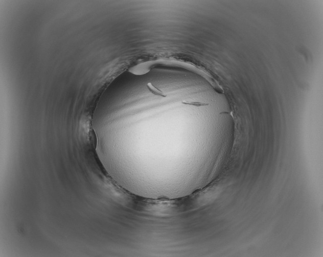 X0000113370288200909291057