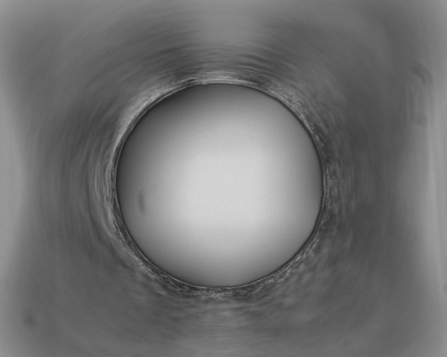 X0000113370289200909291057