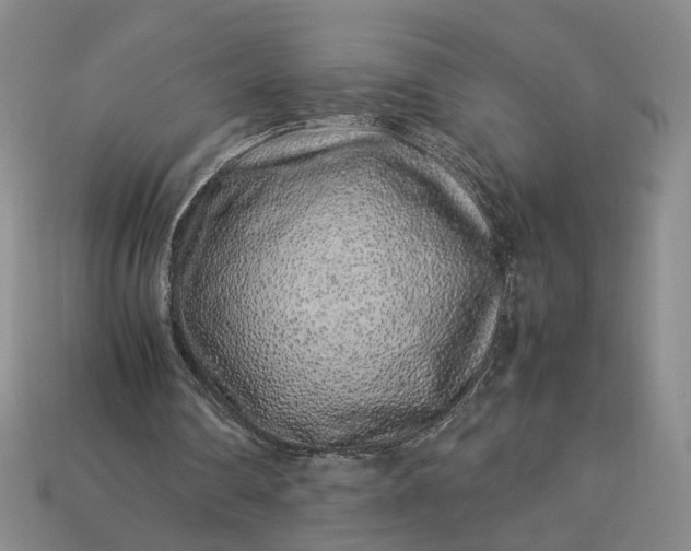 X0000113370290200909291057