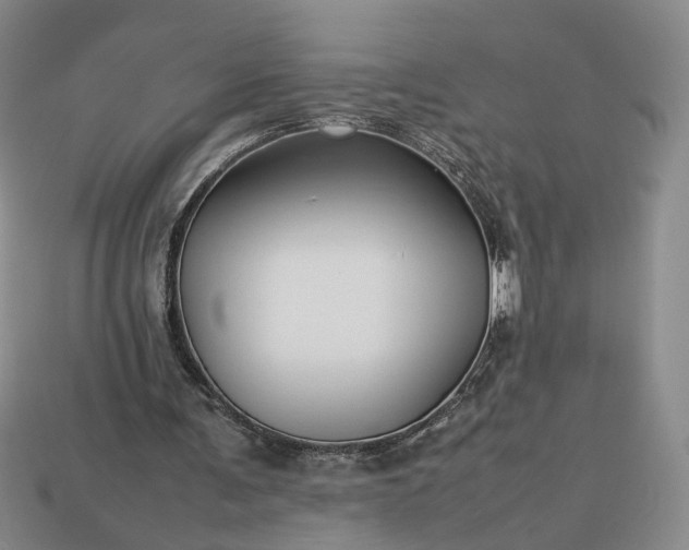 X0000113370291200909291057