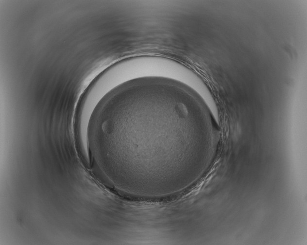 X0000113370292200909291057