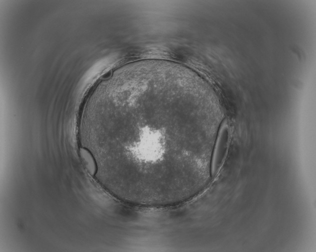 X0000113370293200909291057